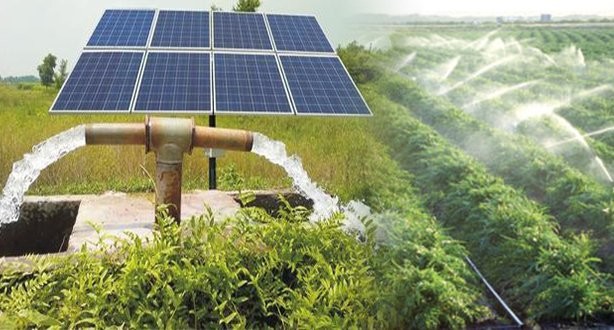 Solar water pumping system by Solar Spark Energy - Reliable and eco-friendly water solutions